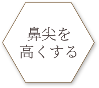 鼻尖を高くする