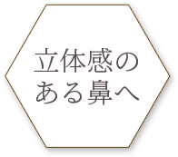 鼻筋を通したい