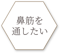 鼻筋を通したい