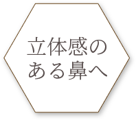 鼻筋を通したい