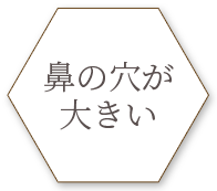 鼻の穴が大きい