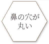 鼻の穴が丸い