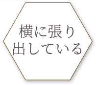 横に張り出している